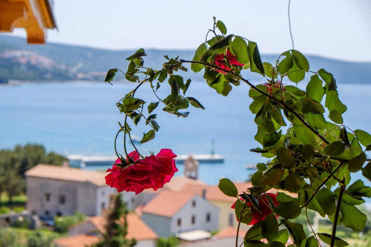 Apartmani Zorica Martinscica  Bagian luar foto